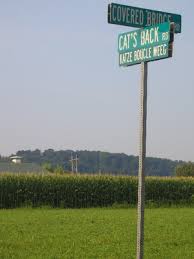 Amish Language