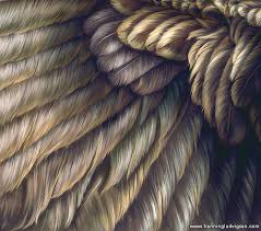 Some feathers are for - via Daymix