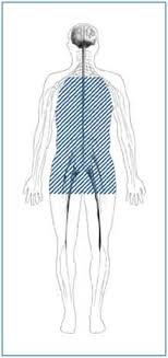 What is  autonomic neuropathy ?