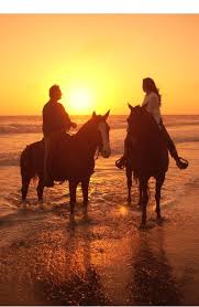 Horseback riding