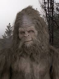 Messin With Sasquatch Wins Top - via Daymix