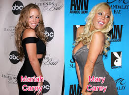       porn celebrity   doppelgangers do    
