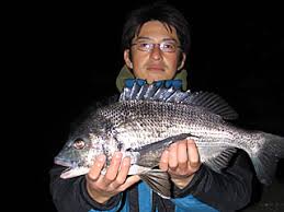 以前にチンの字がのべ竿で上げ