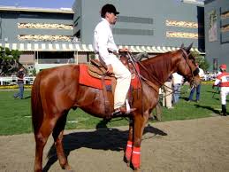      began working at  Santa Anita   