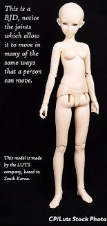 A ball joint doll is exactly what it 