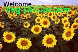 Veg-Oil-Car.com  Which vehicles can 