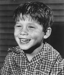 Image <b>Andy Griffith</b> Show Picture