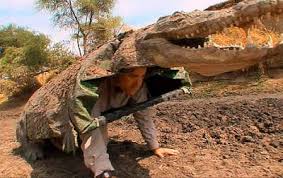 The zoologist adopted his - via Daymix