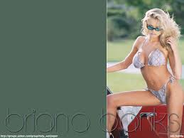 brianna banks vs courtey VidArena