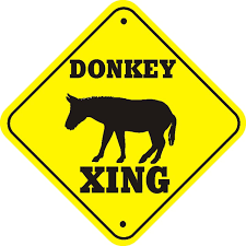   Donkey   xing