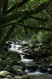 像美麗的小溪流，緩緩釋放