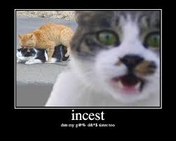 incest Picture