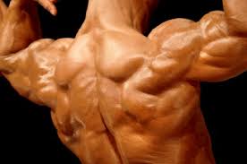   Body Building  