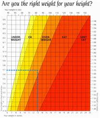 When you x26 39 ve calculated your BMI