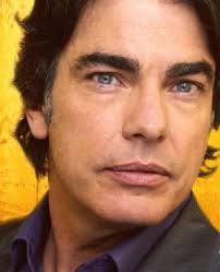 Image <b>Peter Gallagher</b>? Picture