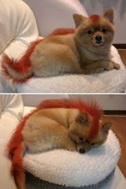 The 'real' Firefox