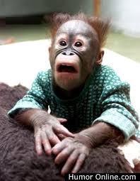   Funny   Baby Pictures You Should See    