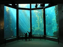 File:Monterey bay aquarium.jpg - via Daymix