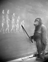 o_DarwinismOrIntelligentDesign - via Daymix