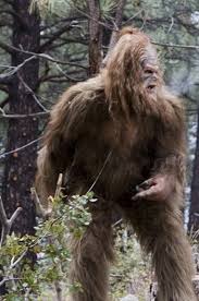 His Name To Sasquatch - via Daymix