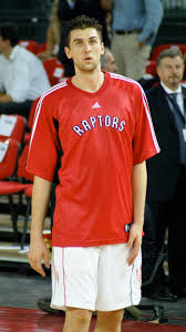 Image Image:<b>Andrea Bargnani</b>. Picture