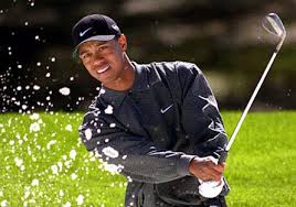Point and Tiger Woods and - via Daymix