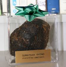 Buy endangered feces to save - via Daymix