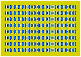      en  curiosidades   
