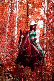 Horse Riding Park City Utah