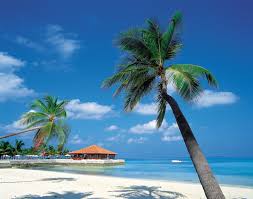 Caribbean Cruise Image - via Daymix