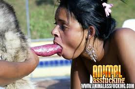 Animal  x3cb x3eAss Fucking x3c b x3e 1