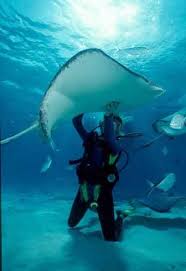  scuba -diving