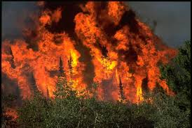 Southern California wildfires