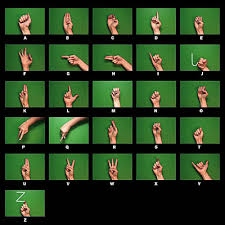 What level of  sign language   should I    