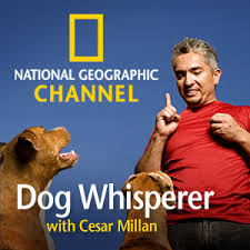       National Geographic Channel x26s      