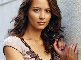 Image Amy Acker wallpaper Picture