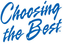Choosing the Best Logo 100k