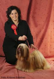 Lhasa Apso Dog Breeder