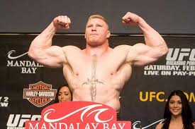 Brock's leg. Brock Lesnar - via Daymix