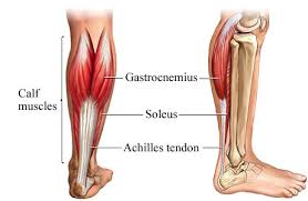  Achilles Tendinitis 