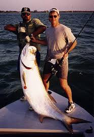 Islamorada Fishing Reports