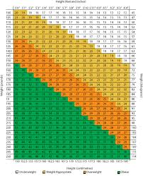 BMI Scale