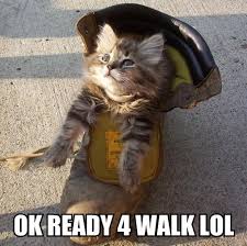OK READY 4 WALK LOL