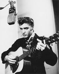 Elvis Presley Picture Gallery - via Daymix