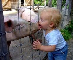 Swine Flu and You - via Daymix