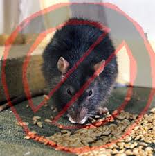  Anticoagulant rodenticides  are