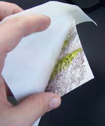 and apply used dryer sheet