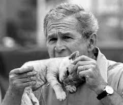 Bush eats a kitten,