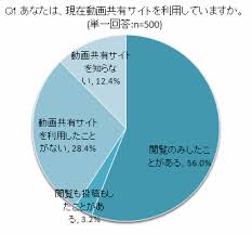 動画共有サイトの画像3
