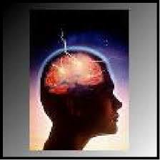   Language   Study and the Brain